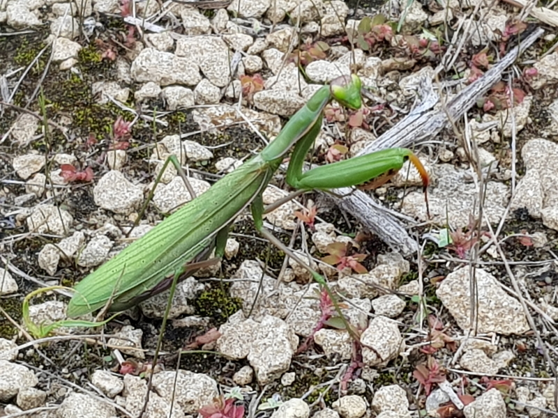 0290_20191003_143931