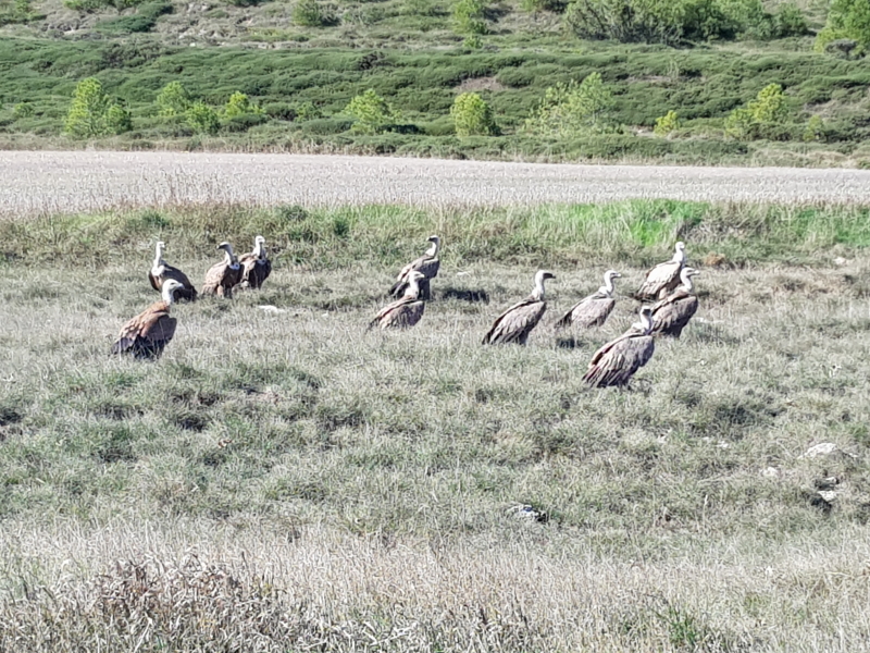 0340_20191007_123131