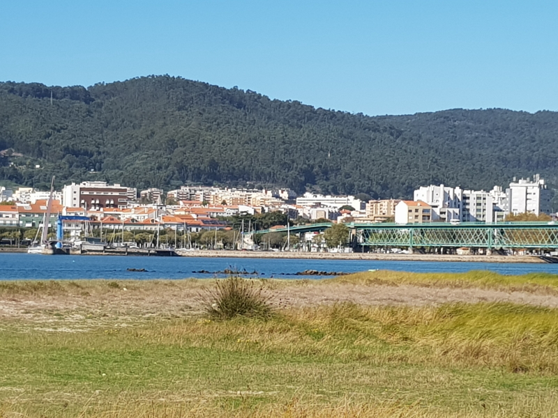 0381_20191010_150506