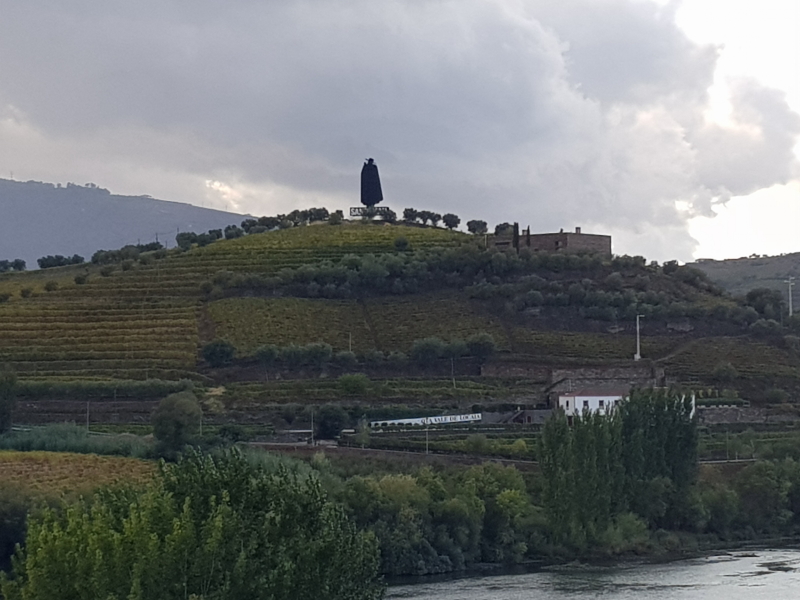 0446_20191014_163123