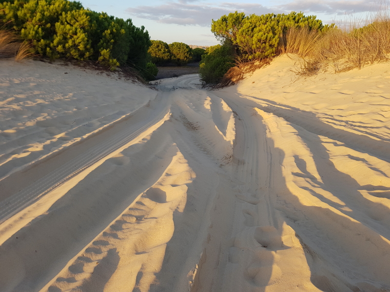 1015_20191103_180422