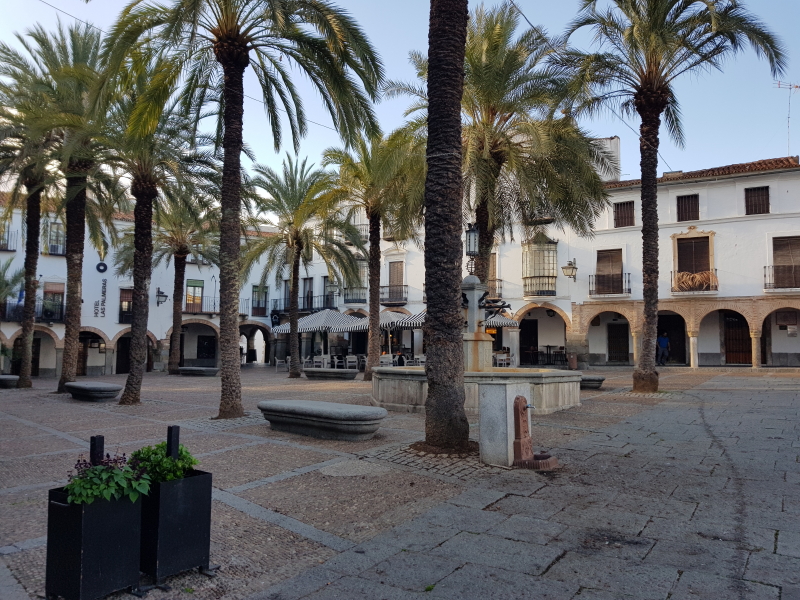 1038_20191104_163621