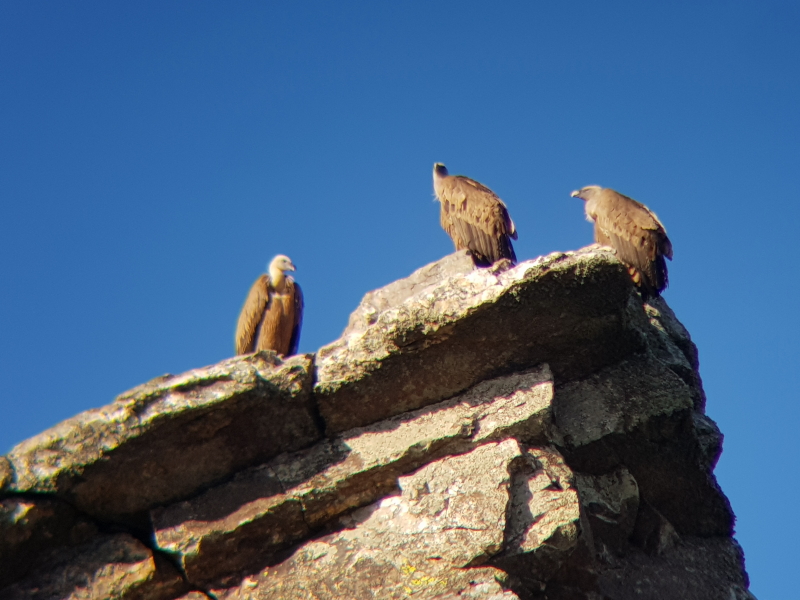 1237_20191108_102130