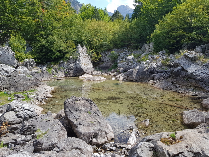 0356_20180908_113701