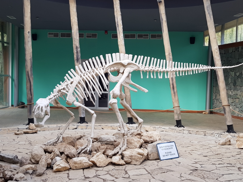 1006_20181009_173133