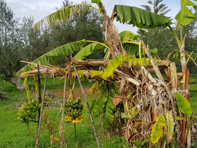 1830_20181202_120151