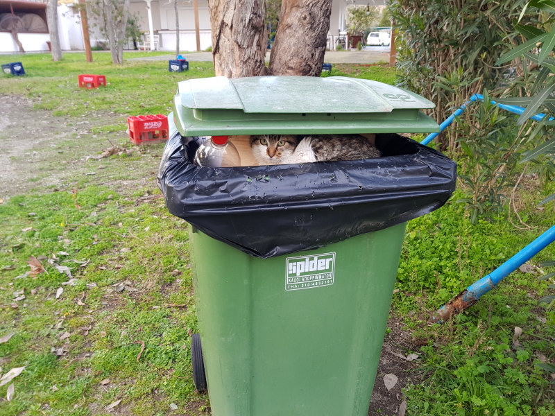 2325_20190101_164742