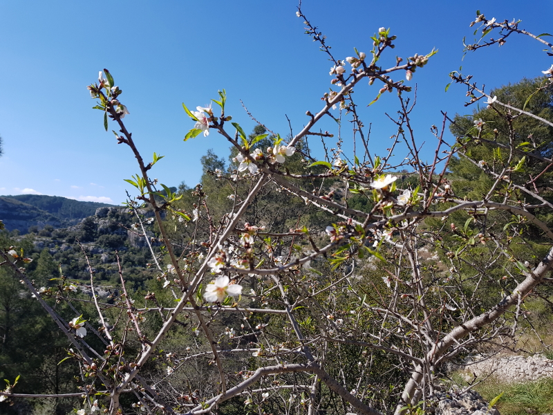 2934_20190217_124734