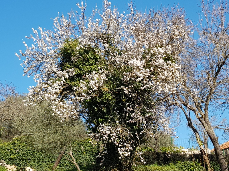 2941_20190217_143234