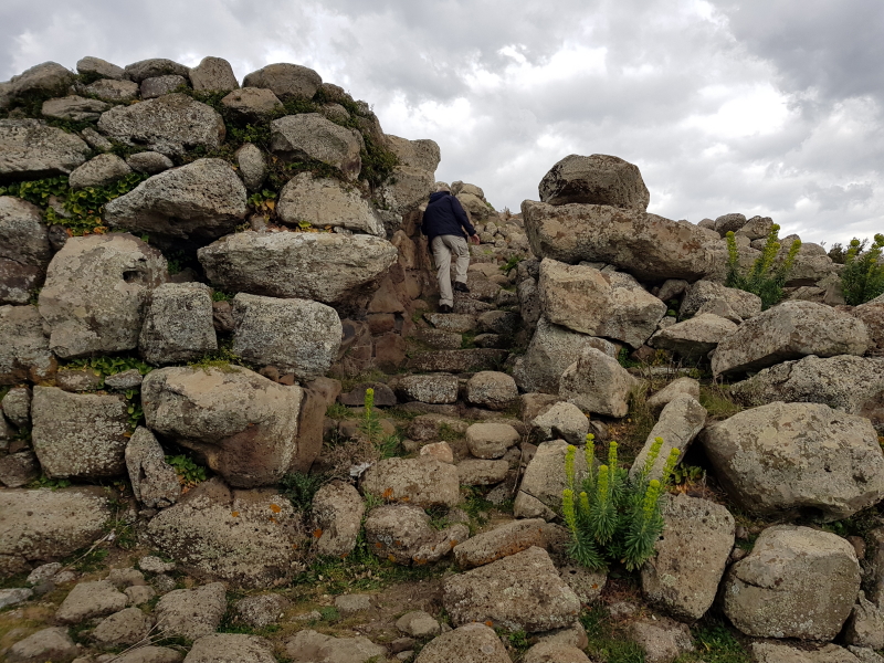 3878_20190319_132729