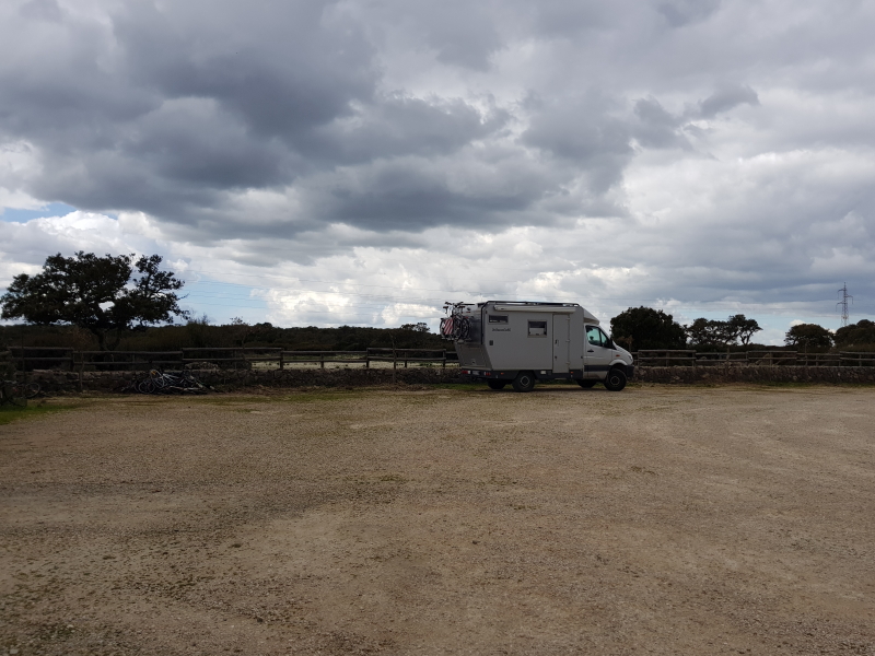 3882_20190319_134059