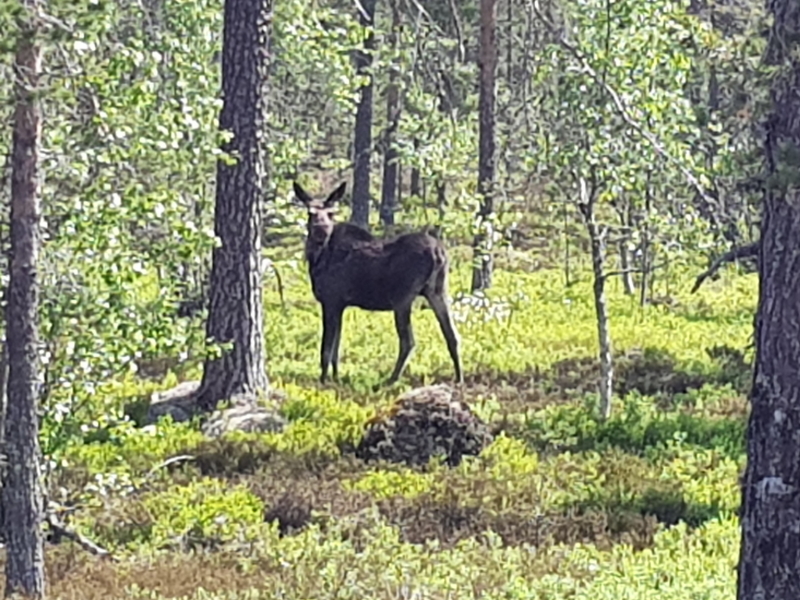 0072_20200619_113523