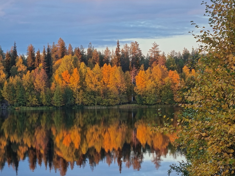 0161_20210909_194753